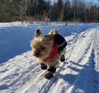 xOSusieQx's profile picture. 