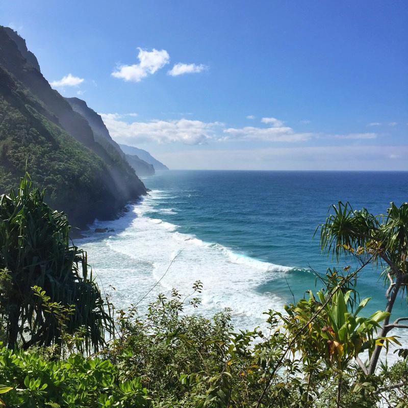 SurvivedKalalau's profile picture. 