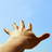 wilvery's profile image