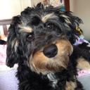 Kat Potts - @KatPotts - Twitter