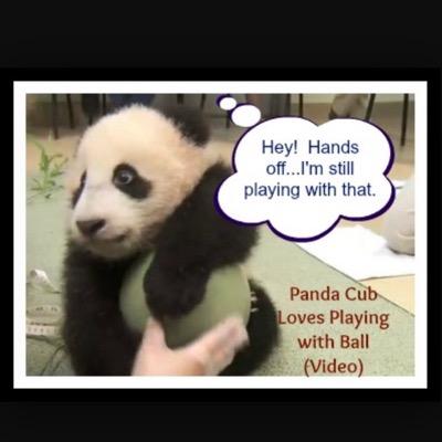 jasmineyay123's profile picture. 