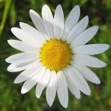 #savedaisyhill #bornindaisyhill CAMPAIGN PAGE - PLEASE FOLLOW AND RETWEET - THIS ISSUE NEEDS YOUR SUPPORT! - Not affiliated with any political party.