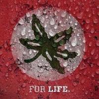 ๐ฝ๐ช๐๐ ๐๐ฎ๐ ๐๐๐ฉ๐๐ค๐ฃ ๐ฐ (@buckeye_nation) 's Twitter Profile