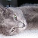 David Aldrete - @dmaldrete - Twitter