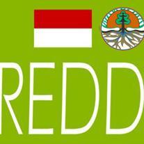 Sebuah wadah untuk berbagi pengetahuan mengenai REDD+, hutan dan perubahan iklim di Indonesia | REDD+, apakah itu? http://t.co/WNMds7cwE8