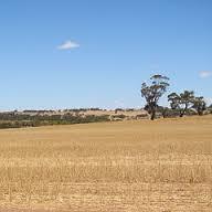 WestCountryWool's profile picture. 