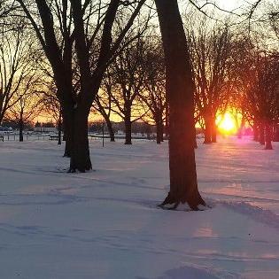 Brenda_Button's profile picture. Technology, Web, Marketing, Inventor, Dream Follower, and Dog Lover.