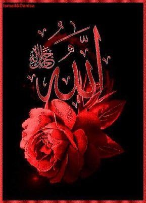 umi5678956789's profile picture. 