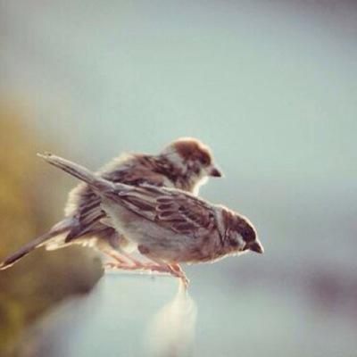 تصبح الحياة ثقيلہ ، كلّما ثقلت ذنوبك