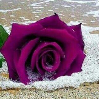 jasmeenalkthiry's profile picture. 