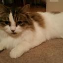 Paul Clark - @MrPaulClark - Twitter