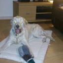 Carol Carmichael - @a3a62d21c5364fc - Twitter