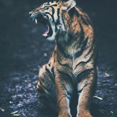 Feeling free and wild scince this world exists. Never stop following your dreams. You deserve being heard.