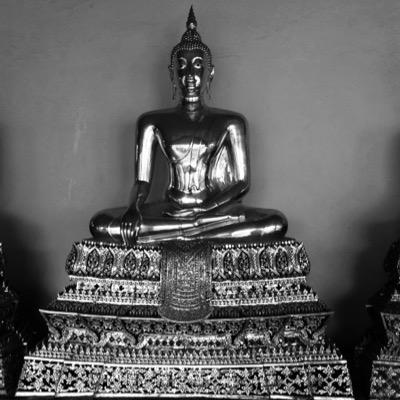 SameSamebut1's profile picture. 