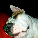 Kristen Faust  - @Thecult172Faust - Twitter