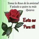 Mª del carmen Diaz (@13chamulas13) Twitter