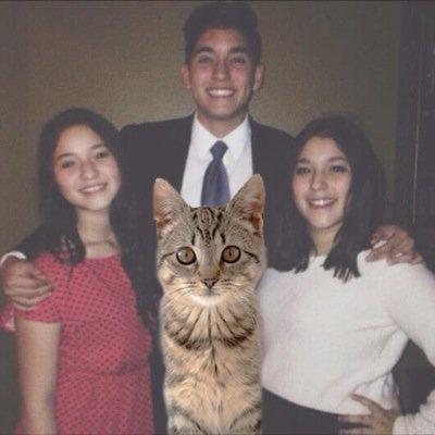 victorfrossi's profile picture. 