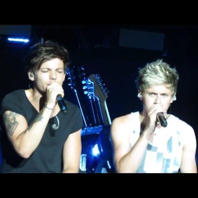 niall horan and louis tomlinson are the cutes out of 1D