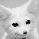 Chow-Show - @ChowShoww - Twitter