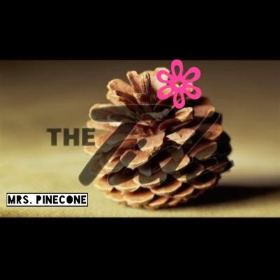 Little Pinecone, Big World. @TheTidePinecone ... someday.