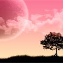 faisal ray - @FaisalratcRay - Twitter