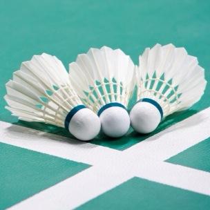 Professional Badminton Coaching with @jennywallwork at Leeds Badminton Centre.19.00pm-21.00pm Tuesday. £15 PP. Contact jenny.wallwork18@hotmail.com