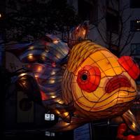 かおり☆ (@suicyuunohana) 's Twitter Profile Photo