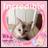 katy35284734's profile image