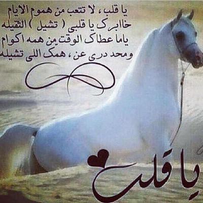 يارب بحجم جمال جنتك أرني جمال مستقبلي وحياتي وحقق لي كل م اتمناه . وختم لي بخاتمه حسنه استحق بها جنتك.