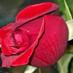 Abdullah.m.z (@alzughaiby) Twitter profile photo