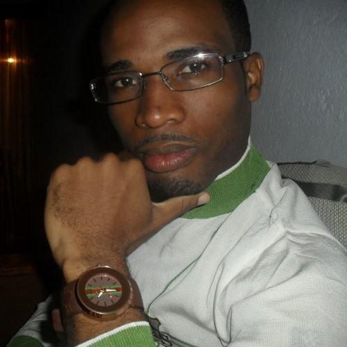 Senior IT Project Manager,  
Song Writer/Composer,  
Music Director,
Bass Player, 
IT Trainer