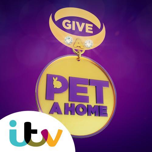 giveapetahome's profile picture. Starting April 15 at 8pm, a team of celebrity animal lovers will devote their time to finding a new home for mistreated and abandoned creatures. #GiveAPetAHome