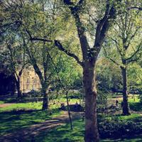 CityUniversityLondon (@cityuniversity1) 's Twitter Profile