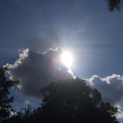 joaroten's profile picture. 