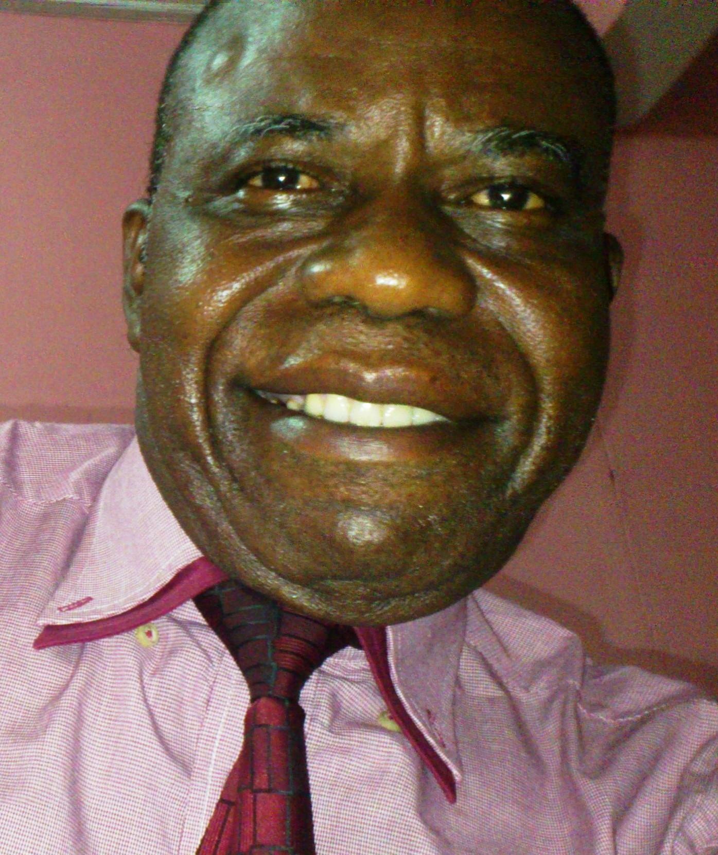 Membre co-fondateur du parti politique UDPS 
Porte-parole des Pionniers de ce parti
Ancien vice-ministre du Plan
Ancien parlementaire sous la Transition (HCR/PT