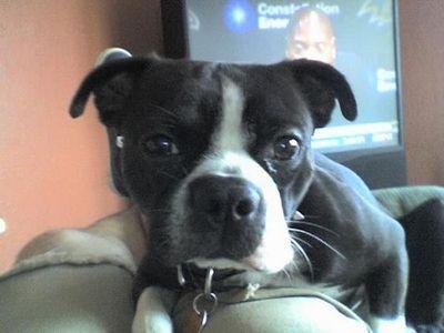 NastyBeaver00's profile picture. 