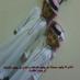 ابوأسامه (@alaoyal) Twitter profile photo