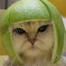JQuezH (@jquezh) Twitter profile photo