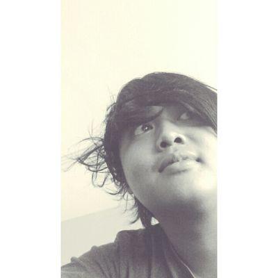 (SWALLOW) SUPORTER LAYAR KACA “FCB”