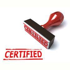 Certified Massive Information. Curated news. I don't like cats. More of a dog person but don't own one. I have a fish.