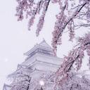 布川健太 (@1973c74383a8457) Twitter