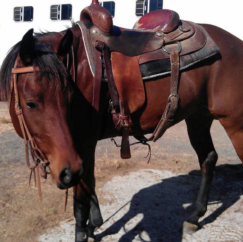 My Family, horses, and hunting is what it is all about!