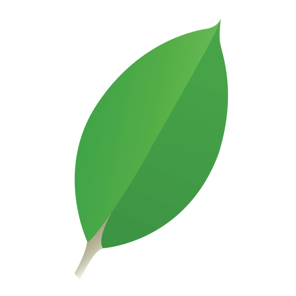 libmongoc's profile picture. 