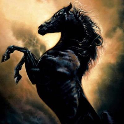عندما تجمح الخيل .. تأكد بأن هناك مايقلقها .. وحرفي هنا هو قلق ابحث له عن راحة.. ‏هذا جموح الخيل .. وهذي كلمتي .. حرفي ترى كله جموح لعزتي