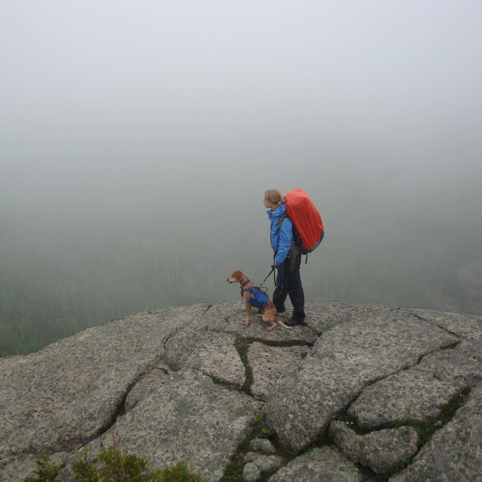 AJarrettSmith's profile picture. Climate & energy policy in MN. Climate, air quality, transportation nerd; hound dog mama; novice urban gardener; womxn's sports fan. She/her. Views are my own.