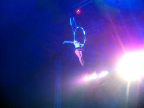 AndraDmikele's profile picture. Luanatica e Guinatica  3