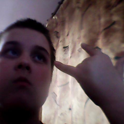 SashaWebpro's profile picture. 