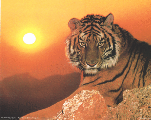 Jess08's profile picture. 