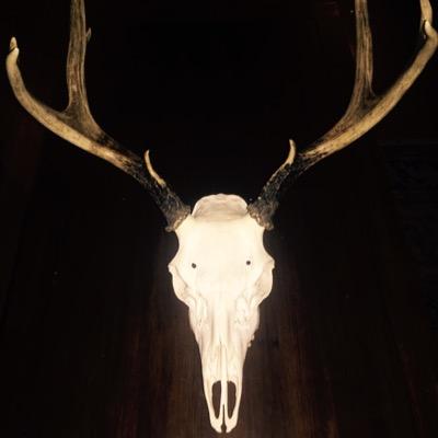 TheRealBildo's profile picture. WinterSteel Worker, Knowledge Chaser, Wingy Crusher, Country Livin' Lover, Beer Pounder, Fly Tier, 3 x Bombs Away Cafe Tequila Club Member, Man.