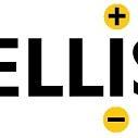 Ellis Group Profile